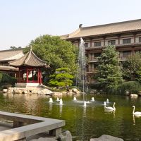 ホテルの中庭が落ち着く