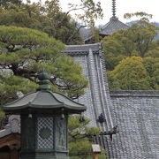 京都観光の穴場