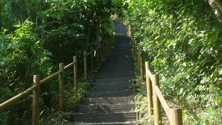 登りは意外としんどいです