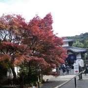 青不動尊に守られたお寺