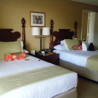 お部屋は広いです