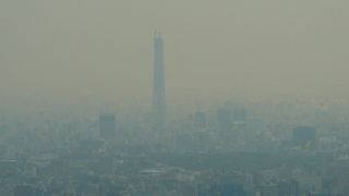 スカイツリーもよく見えます