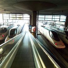 スロープからの眺めは楽しい