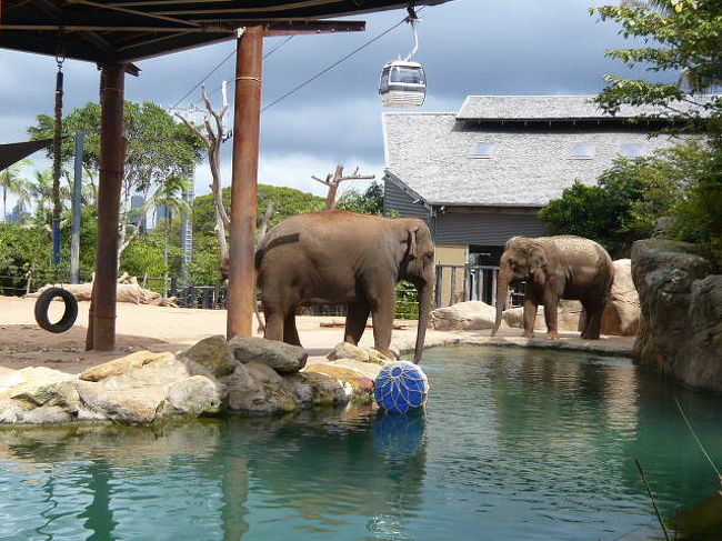 タロンガ動物園