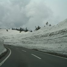 雪の回廊