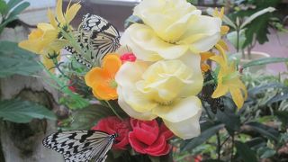 子供連れには良いかも