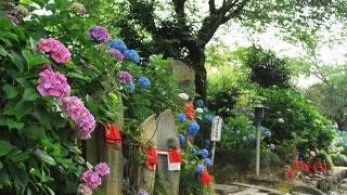 金剛山寺(矢田寺)