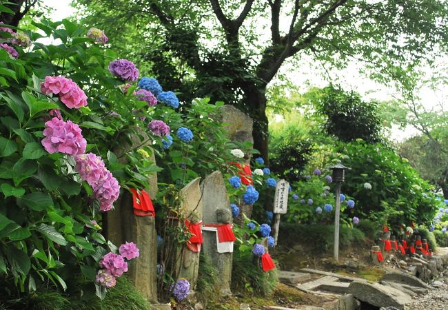 金剛山寺(矢田寺)