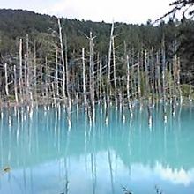 この日は青白い水面でした