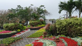 美しい花が咲き乱れる明るい公園