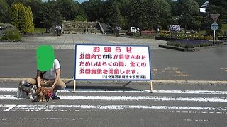 晴れの日も雨の日も遊べます。