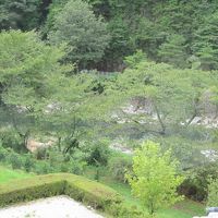 客室からの眺めです。