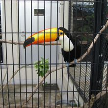 １日楽しめます。