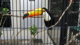 子連れにおすすめ