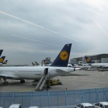 ルフトハンザがいっぱい