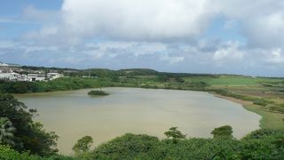 沼と言うか池と言うか