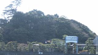 海女さんの実演が見れます。