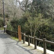 世界遺産にも認定されている原始の森 『春日山原始林』