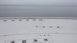 津軽海峡の向こうに本州が見えます