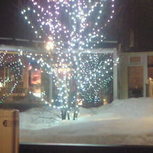 ライトアップされた中庭