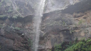 マイナスイオン溢れる西表島の滝