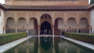 昼間も夜も両方見れると素敵です