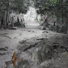 下山道の分岐点です。お地蔵さんが祭られています。