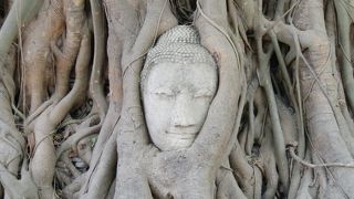 洪水の影響がこちらにも･･･