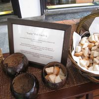 川の魚に餌をあげることもできましたよ。