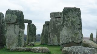 ２階建バスに乗ってツアーに行こう