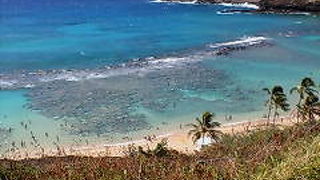 綺麗なお魚がいっぱい