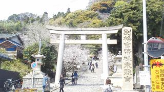 是非、石段から上がってください！