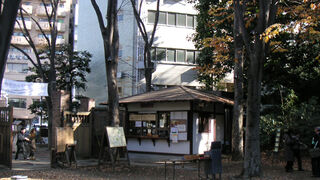 紅葉の名所　六義園 （リクギエン）