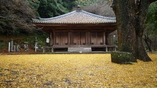 富貴寺・・・紅葉の絨毯に映える大堂！