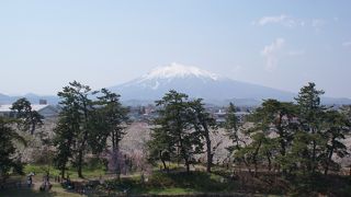 一番の見所は岩木山と桜です。
