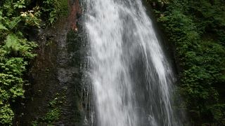 奥入瀬渓流で一番すごい滝