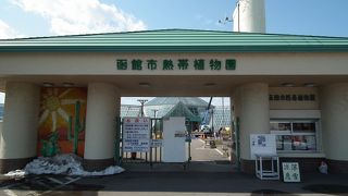 熱帯植物園ですがメインは猿です