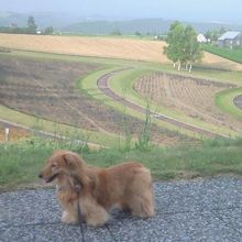 眺めが良いです