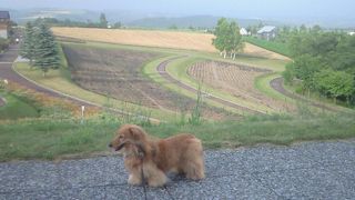 パッチワークの路散策に便利