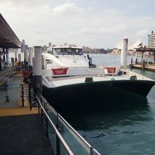 湾内を往き来するフェリー。