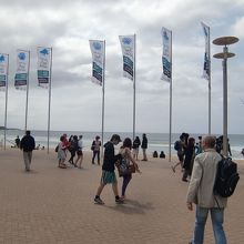 マンリー・ビーチ。フェリーで往復しました。