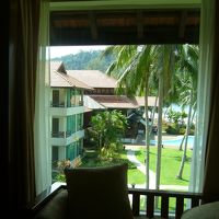 この窓すぐ側にサルが来ます！