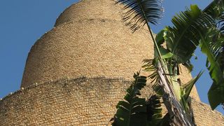 熱帯の花々、きれいです。