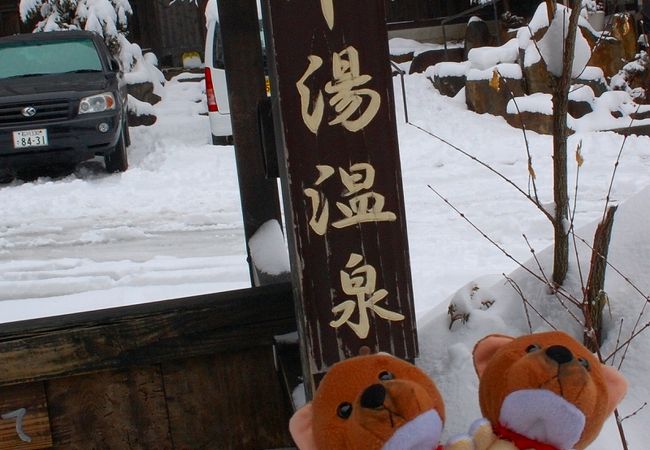 平湯温泉にて。