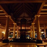 エントランス。広々として気持ちが良いです。