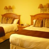 ムース・ロッジの客室。