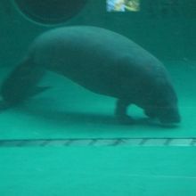 もぐもぐお食事していました。