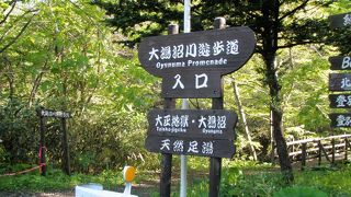 天気がよければ朝の散策におすすめ