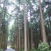 秩父宮様の旧御殿場別邸の公園