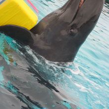 至近距離で楽しめちゃいます。